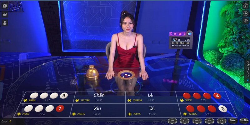 Kinh nghiệm nghe vị xóc đĩa
